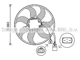 AVA QUALITY COOLING vw7537 -  Вентилятор, охлаждение двигателя